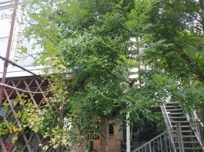 Гостевой дом на Халтурина 4