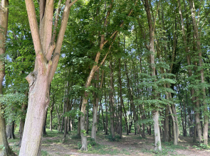 Квартира Уютная в немецком  доме возле моря