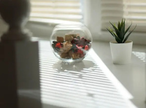 Апартаменты Настроение 1