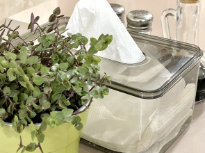 Гостевой дом AmKam