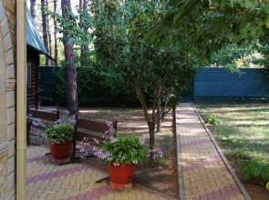 Гостевой Дом Асият