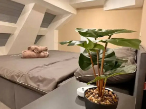 Квартира Мансарда