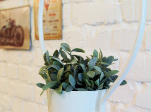 Мини-отель Спи здесь