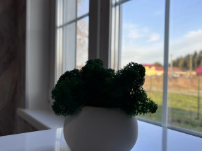 Гостевой дом Ilta Karjalan Talo Карельский домик