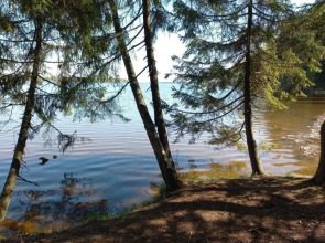 Частный дом Фиолетовое лето