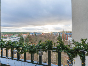 Апартаменты Baden Loft