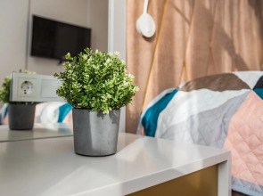 Апартаменты Курортный Проспект 53