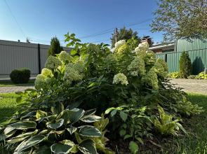 Гостевой дом Лето