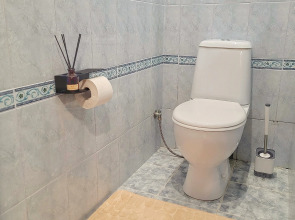 Апартаменты Просторные двухкомнатные