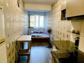 Spokoynoye mesto v tsentre Apartments