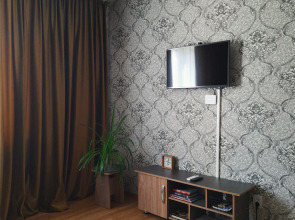 Апартаменты Рыжий Кот возле Парка