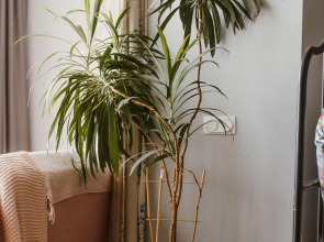 Апартаменты Дизайнерские с Панорамными Окнами