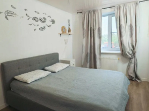 Proctornaya tryokhkomnatnaya v 10 minutakh ot tsentra Flat