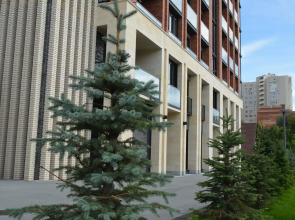 Квартира Бобродом это лучшая альтернатива отелю в центре города