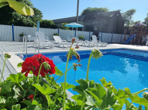 Alisa, Privet Guest House