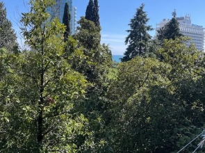 Апартаменты Светлана-Центр у моря с видом на сад магнолий