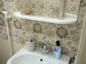 Апартаменты с джакузи на Красноармейском пер. 5