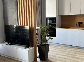 Квартира Big Time