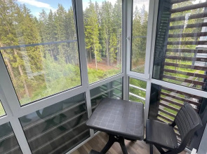 Апартаменты на Софьи Ковалевской 14a