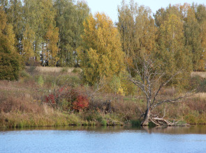 ЭКО Отель Настасьино Хуторок