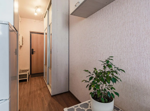 Апартаменты в ЖК Бурнаковский