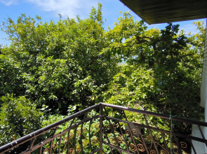 Гостевой дом Цитрус