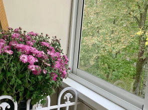 Апартаменты Blue Center City