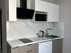 Biznes apartameny na 2 spalnykh mesta Apartments