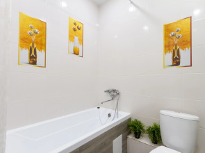 Квартира Роял Парк Красный Проспект Заельцовская Зоопарк Дачная