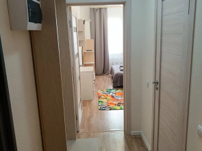 Квартира на улице Муринская дорога 27/2