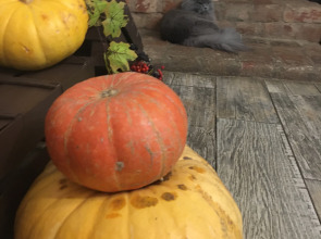 Гостевой дом Дом Ершова