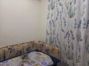 Квартира домашняя светлая двушка в центре Красноярска