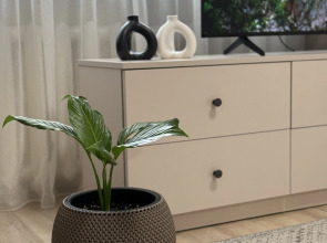 Квартира на Шмулевича 1В