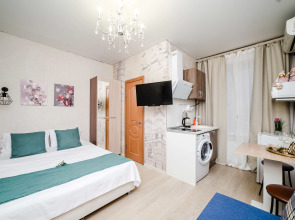 Апартаменты Автозаводская 19к1 (221)