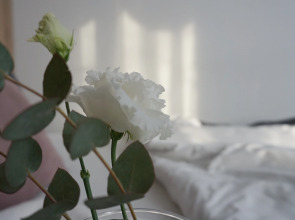 Квартира Стильная евродвушка в центре