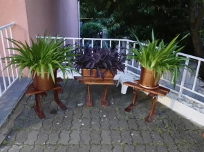 Гостевой дом Бамбуковый Рай