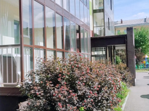 Квартира Уютная квартира напротив ТЮЗа