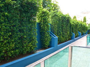 Апартаменты Acqua