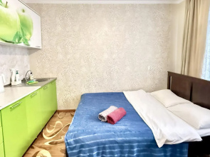 Kvartira Studia Renta 65 na Emel'anova 35A
