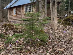 Izba Ryibaka Hutor Kamenjuk Bungalow