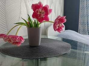 Квартира Однокомнатная