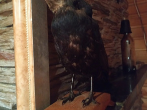 Гостевой дом Агроусадьба у Сан Саныча