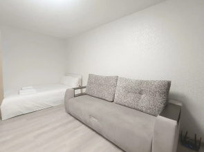 Studiya V Shagovoy Dostupnosti Ot Zdaniya Mvd Flat