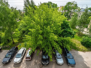 Квартира Уютная рядом с метро Черная речка