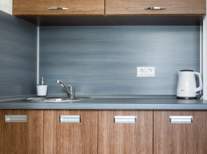 Двухместная улучшенная мини-студия Авион