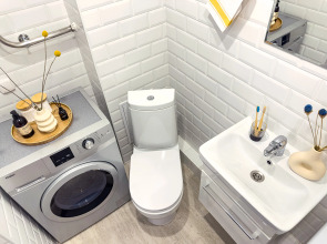 Студия с балконом Карельский Лось