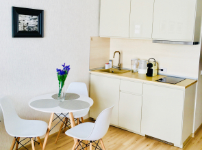 Апартаменты Elagin Studio