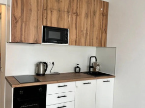 Апартаменты Стильная современная студия