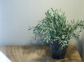 Апартаменты DD.APARTS.VBG : WOW-Студия у Библиотеки ААЛТО