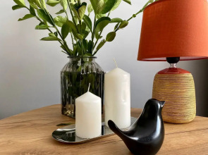 Квартира Девушка и Журавль от Vgosti61